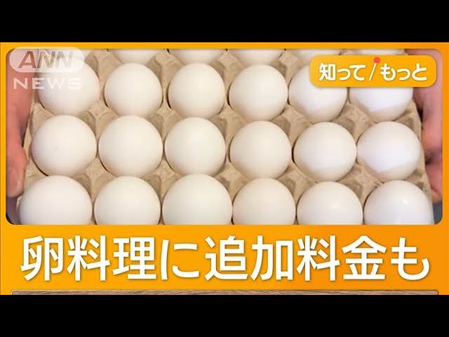 アメリカ、卵12個入り1パック1300円超える　世界中で卵狩りを始める